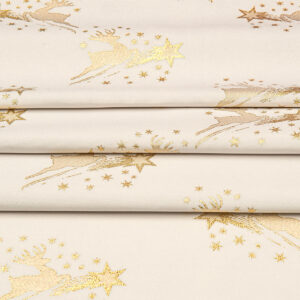 STARRY SKY / 205491/PB / K-2 Z-3596