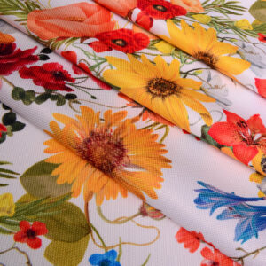 ŻÓŁTA ŁĄKA / 206659/PB/DRT / K-2  Z-3580