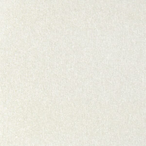 DIEGO PEARL / 205124 AN/2xSZ/O/PEARL /  kolor 0002