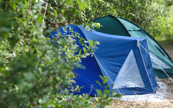 Sznurki poliestrowe, poliamidowe, mieszane - producent sznurków